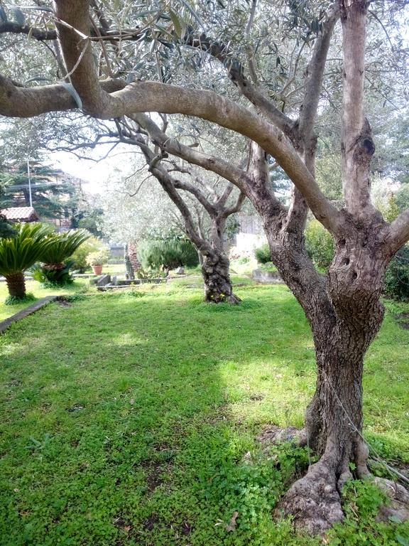 Etna Travellers B&B Mascalucia Extérieur photo